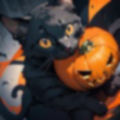 ハロウィン 素材 画像1