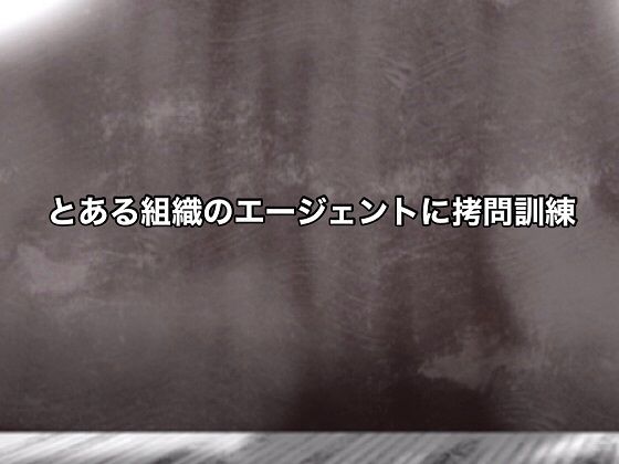 【@さう】同人ＣＧ『とある組織のエージェントに拷問訓練』