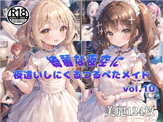 【vol10】夜空が綺麗な日に夜●いしにくるつるぺたメイド_1