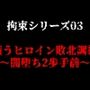 拘束シリーズ03「戦うヒロイン敗北調教〜闇堕ち2歩手前〜」