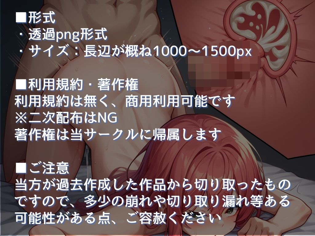 【生産性向上に！】膣断面画像 詰め合わせ 素材集（全110枚・透過png形式） 画像2