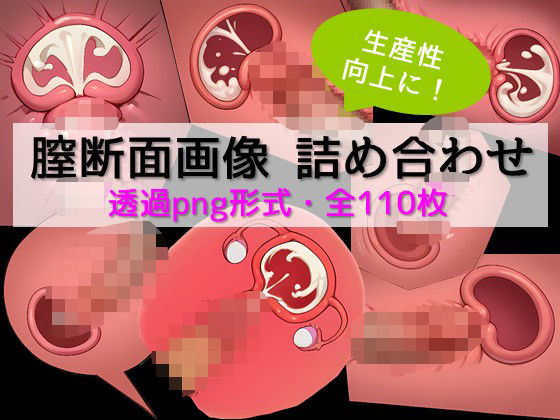 [Improve productivity! ] Vagina cross-section image assortment material collection (110 images in total, transparent PNG format)