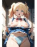 共同便器 画像2