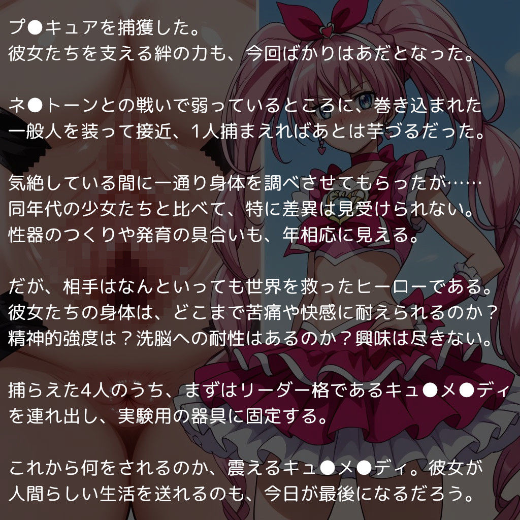 スイートな変身ヒロインたち 敗北・リョナ編 〜伝説の戦士も敗北すればただのメス〜