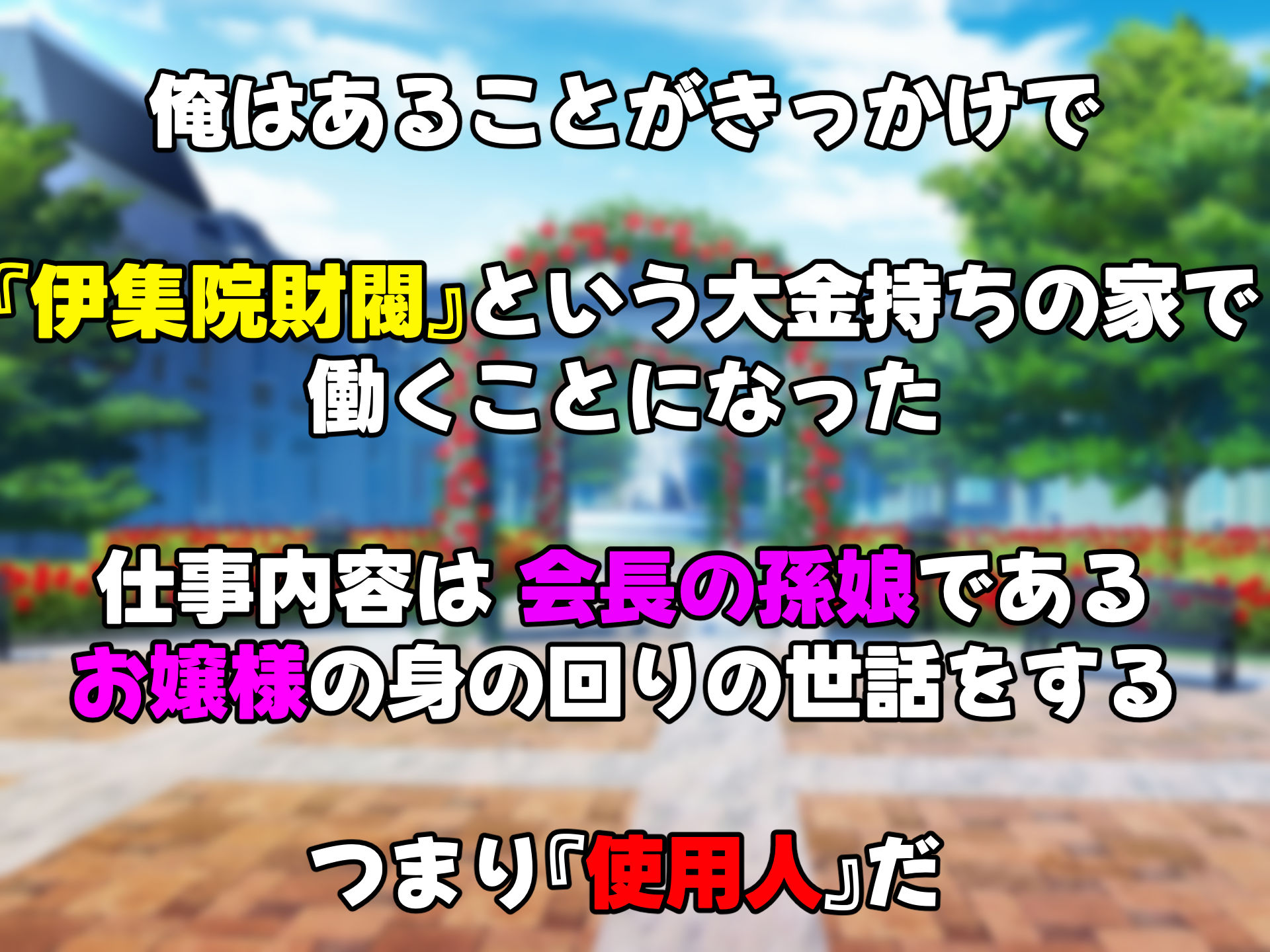 箱入り娘すぎるお嬢様と周囲に内緒で親密な関係になっていちゃらぶセックスしまくる話