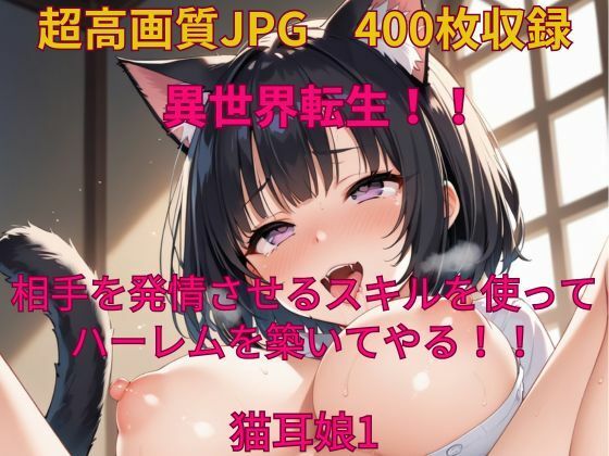 異世界転生！相手を発情させるスキルでハーレムを築いてやる！猫耳娘1【みやふじ屋】