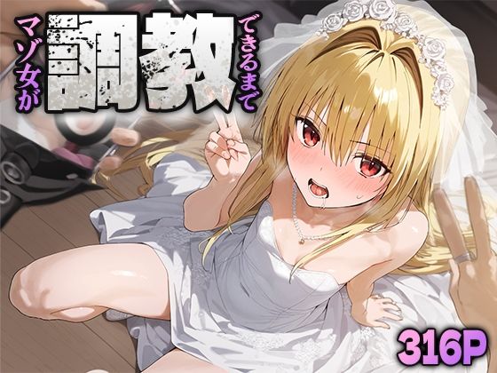 調教〜マゾ女ができるまで〜 金○の闇[おたんこなす] 