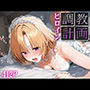 ヒロイン調教計画 籾岡里○