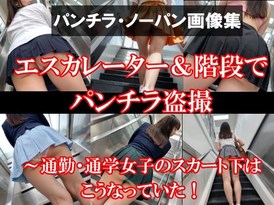 エスカレーター＆階段でパンチラ盗撮〜通勤・通学女子のスカート下はこうなっていた！