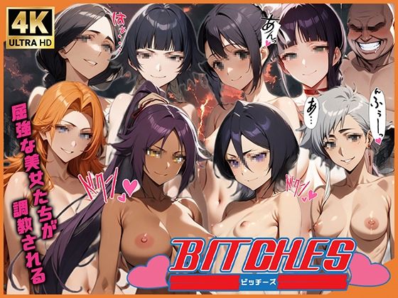 一枚一枚一枚一枚丁寧に細かくモザイクをかけております【BITCHES-調教編-】