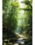 森林・小径  背景素材2 画像5