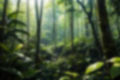 森林・小径  背景素材2 画像6