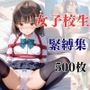 女子校生緊縛集 500枚
