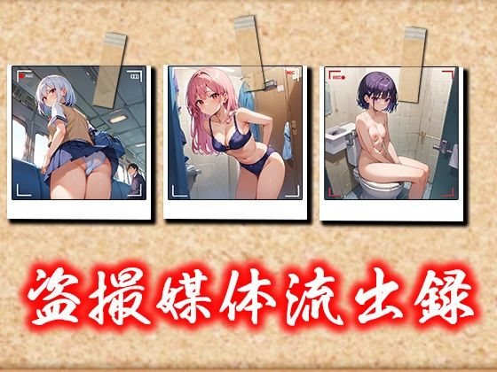 サンプルでトイレのものがあります【盗撮媒体流出録】