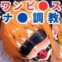 調教CG集 ナミ編〜ワンピ●ス〜【全250枚】