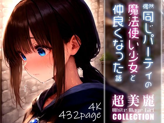 超美麗！偶然同じパーティの魔法使い少女と仲良くなった話vol.20