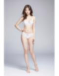 AI collection-01B 画像4