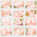 エッチな写真素材集 画像2