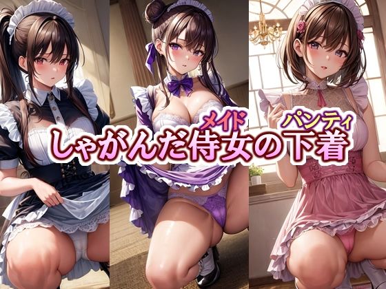 股を開いたりしているんじゃなく【しゃがんだ侍女（メイド）の下着（パンティ）】