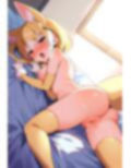 けものフレ〇ズ フェネ〇ク コスプレコレクション 画像2