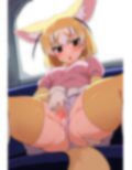 けものフレ〇ズ フェネ〇ク コスプレコレクション 画像8