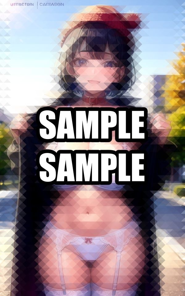 サンプル画像2:冬の日の下着美女イラスト集(あらたると) [d_514412]