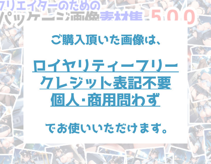 【訳あり】ロイヤリティフリー・パッケージ画像素材集:いけないポリスちゃん【通常編】9