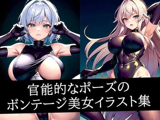 d_516349｜官能的なポーズのボンテージ美女イラスト集【あらたると】