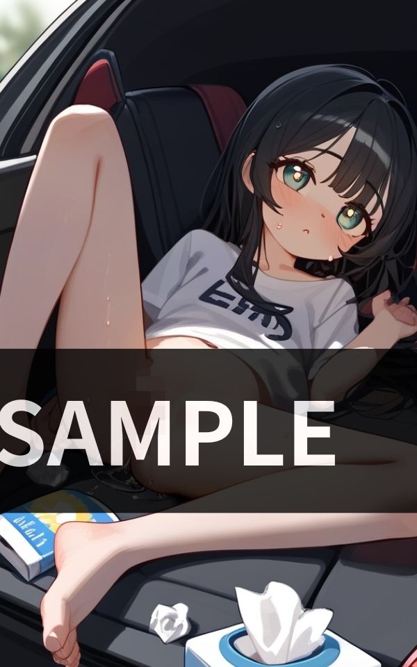 サンプル画像2:いつも車内に 用意している オナホ代わりの少女(夜想アフェクション) [d_516787]