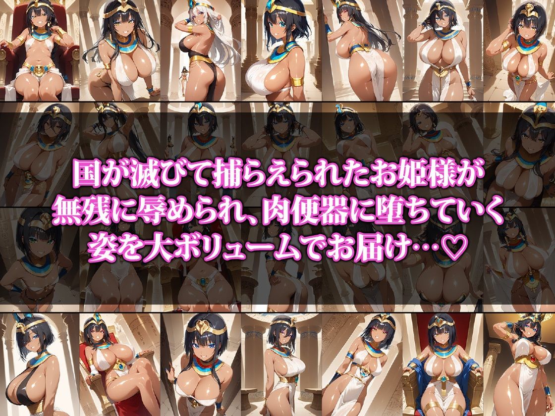 サンプル画像1:肉便器に堕とされた砂漠の国のお姫様(猫P2) [d_528088]