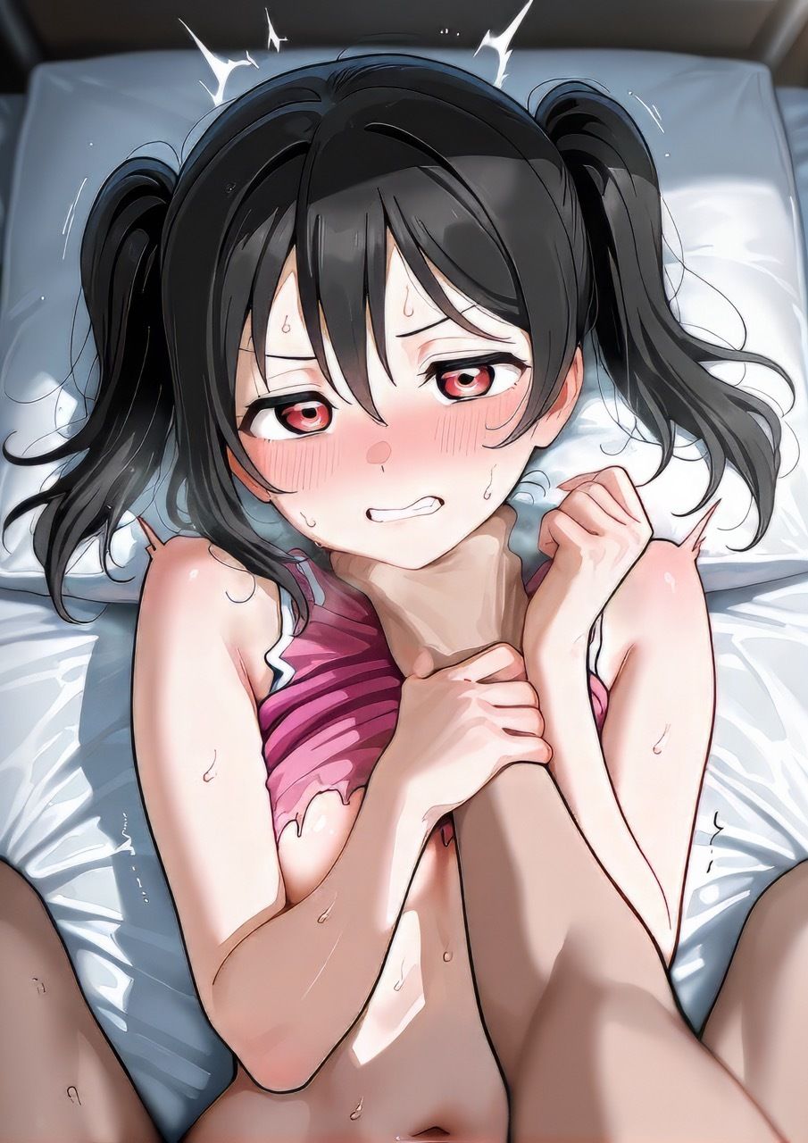 サンプル画像1:調教日誌 矢澤にこ(えろほんじ) [d_530727]