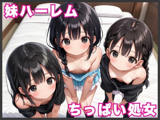 妹ハーレム！〜ちっぱい処女に初めての全開ドピュドピュ中出しセックス〜