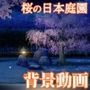 みにくる動く背景素材集『桜の日本庭園』
