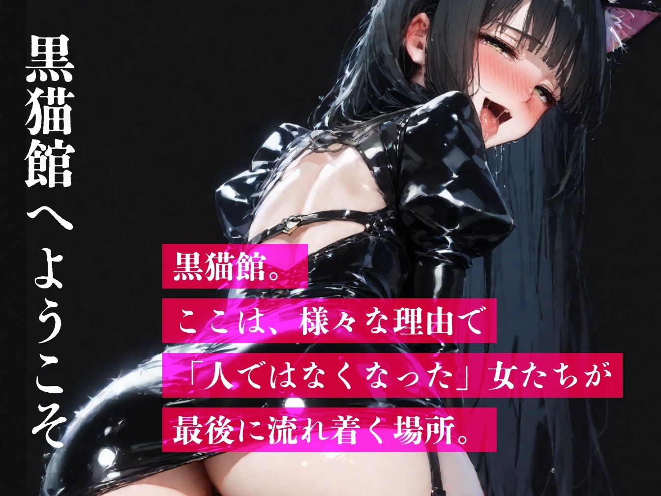 サンプル画像1:黒猫館にようこそ(弩Q) [d_535670]