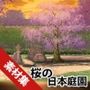 みにくる背景CG素材集『桜の日本庭園』