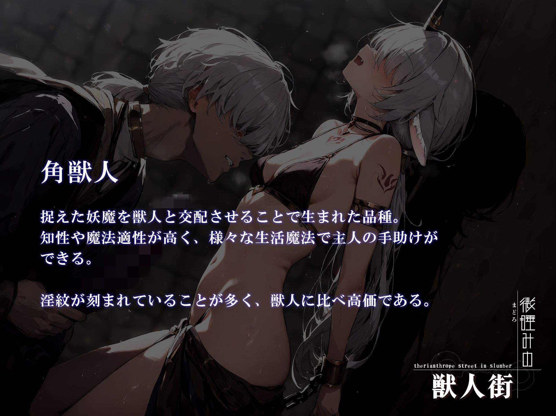 サンプル画像6:微睡みの獣人街1(黒りんご) [d_541556]