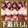 巨乳エロ下着ハーレムの至福  AI美女グラビア写真集
