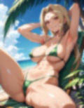 綱〇の写真集  プレミアム