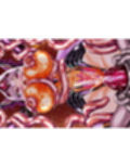 CONCUBINES No.01＆02EX
