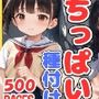 ちっぱいつるぺた少女に種付け放題【大ボリューム500枚】