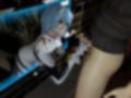 最強性癖、エヴァン◯リオンから動画の総集編！綾波レイ編