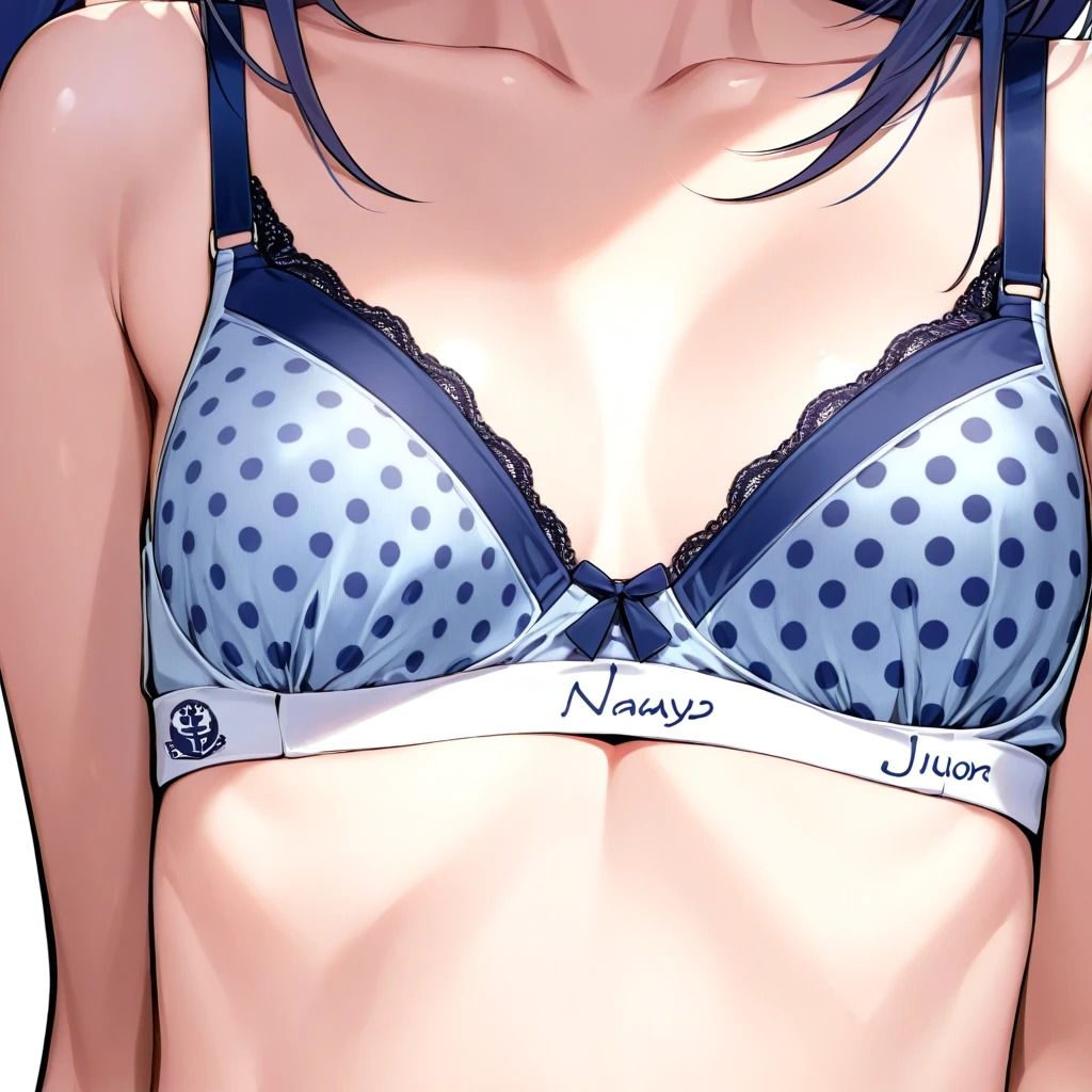 サンプル画像1:ブラジャー接写 2(はなはな出版) [d_550171]