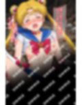 敗北ヒロイン 美少女戦士ムーンの陥落