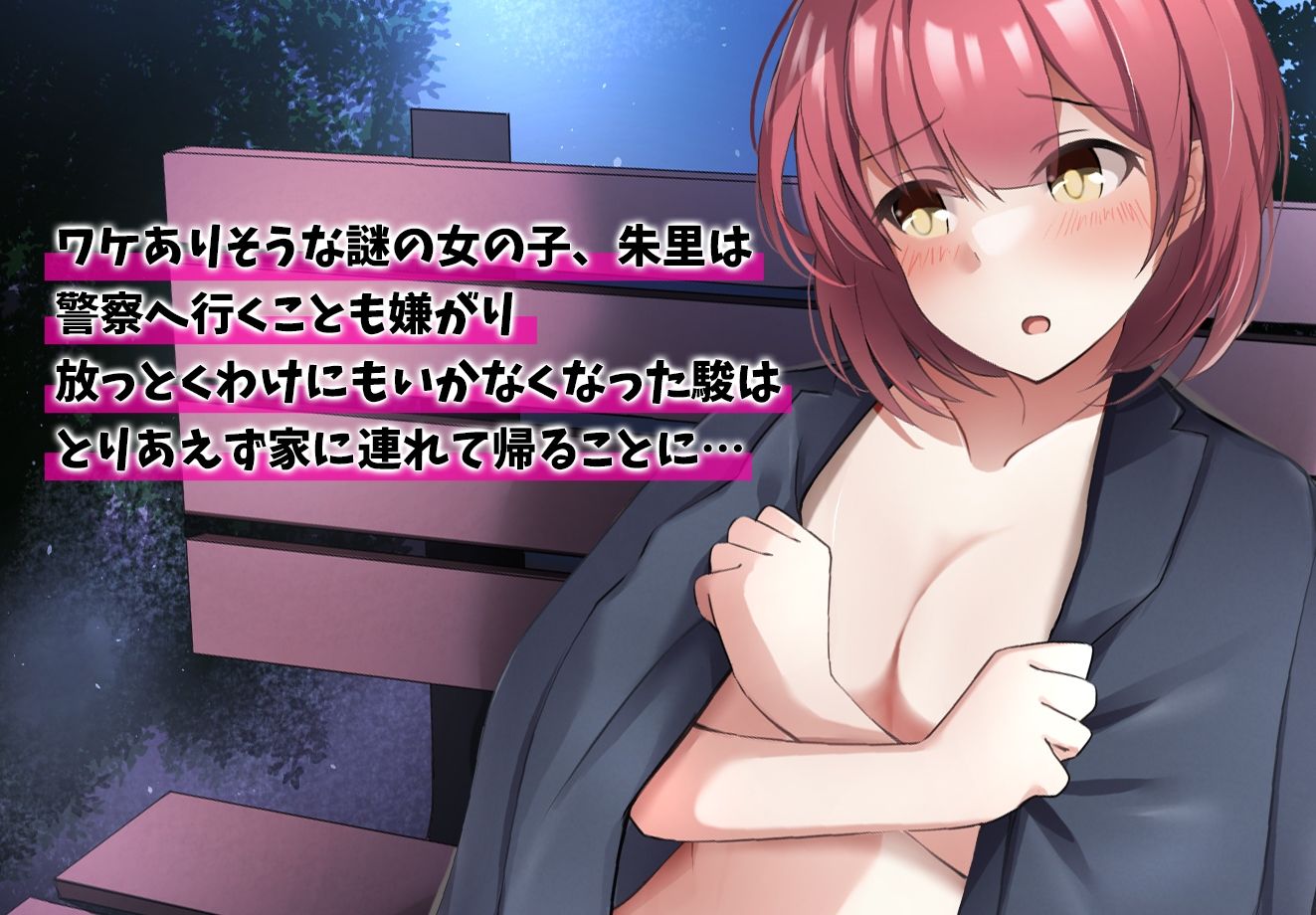 サンプル画像2:ある日、全裸放置されていた女の子を飼うことになった僕の話(みっつまん) [d_551877]