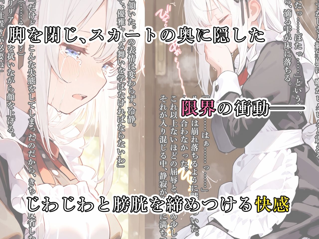 サンプル画像3:快楽耐久メイド調教 〜清楚なメイドが乱れるとき〜(おもらしメモリアル) [d_553701]