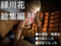監獄学園の花とイチャイチャラブラブ学園エッチを楽しむ動画パック