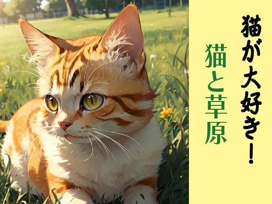 猫が大好き!猫と草原【豊川内角】