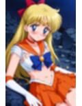 敗北ヒロイン 美少女戦士ヴィーナスの陥落