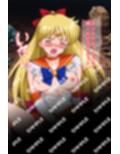 敗北ヒロイン 美少女戦士ヴィーナスの陥落
