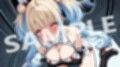 緊急クエスト『終の女神性伐戦:喪失』